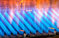 Birdforth gas fired boilers